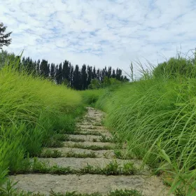 Kenli Botanical Garden