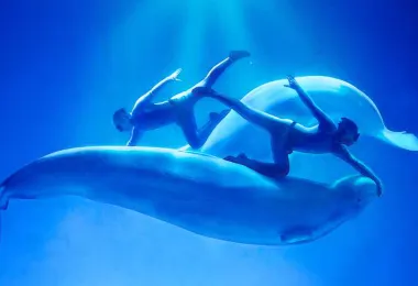 Royal Ocean Park Popular Attractions Photos