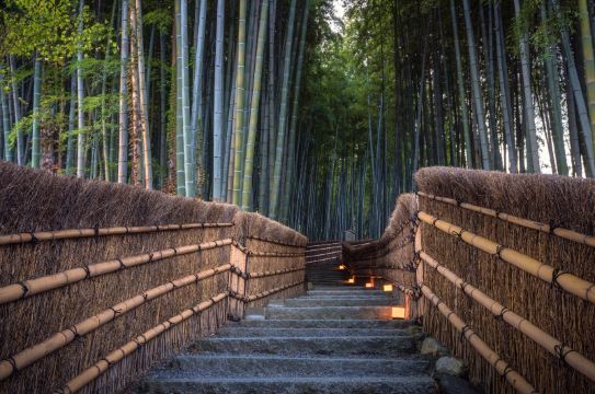 Adashino Nenbutsuji Temple Photos Photos Of Kyoto Attractions Trip Moments Adashino Nenbutsuji Temple Photos Photos Of Kyoto Attractions Trip Moments