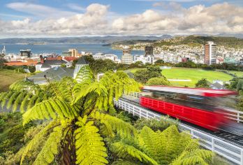 Wellington Botanic Gardens Popular Attractions Photos