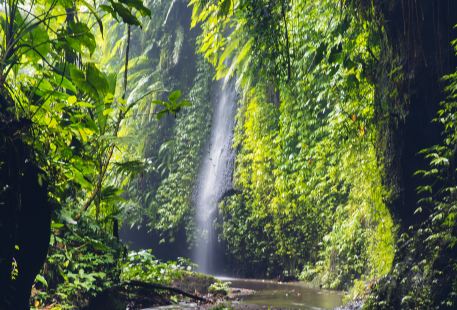 Waterfalls Nature attractions - 66 great attractions in Northern Mindanao - Travel with