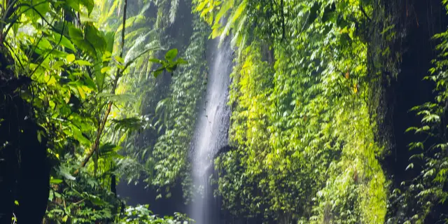 Grøn baggrund det tvivler jeg på trappe 10 Best Things to do in Camiguin Island, Camiguin - Camiguin Island travel  guides 2022– Trip.com