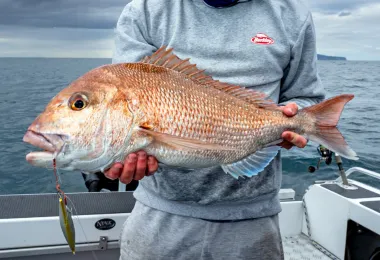 Fishing in the Hauraki Gulf รูปภาพAttractionsยอดนิยม