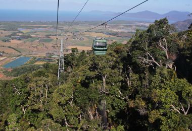 Skyrail Rainforest Cableway Popular Attractions Photos