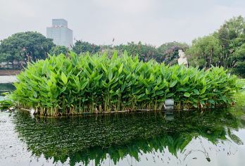 廣州荔枝灣遊船 熱門景點照片