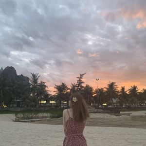 다낭,추천 트립 모먼트