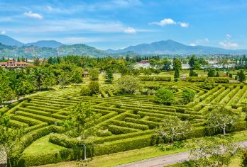 Damu Mountain Tea Garden scenic spot 명소 인기 사진