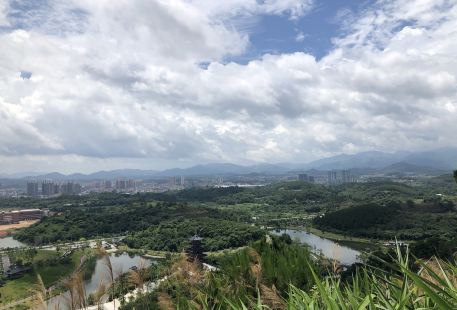 Jintai Mountain Forest Park