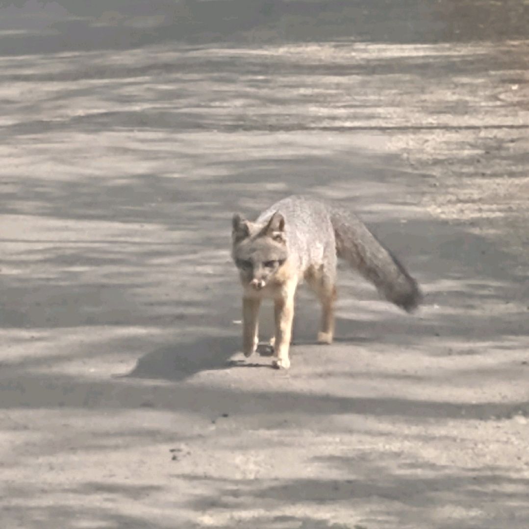 Cloverdale 2022 Top Things to Do Cloverdale Travel Guides Top