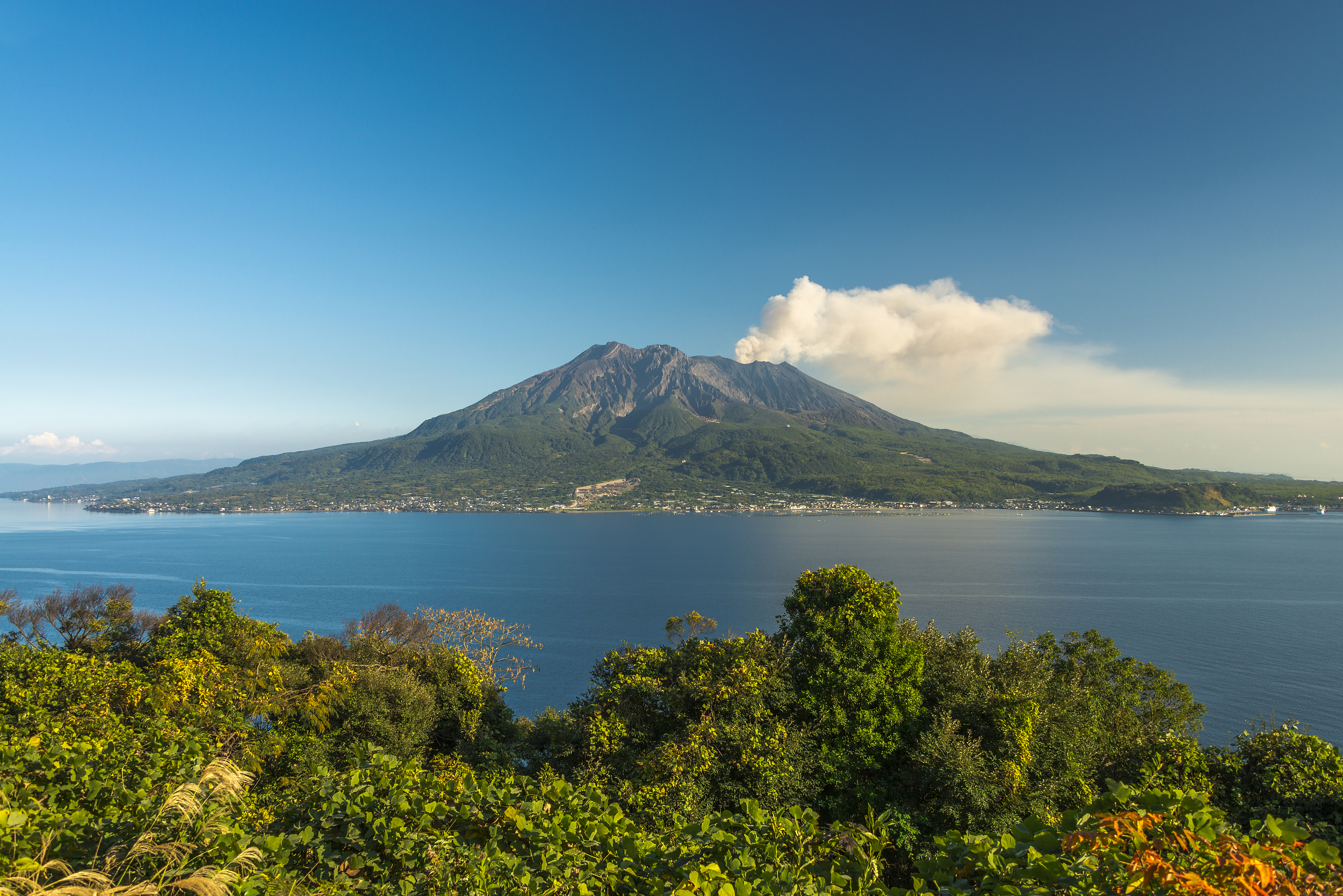 鹿兒島縣立吉野公園旅遊攻略指南 鹿兒島縣立吉野公園評價 鹿兒島縣立吉野公園附近推薦 Trip Com