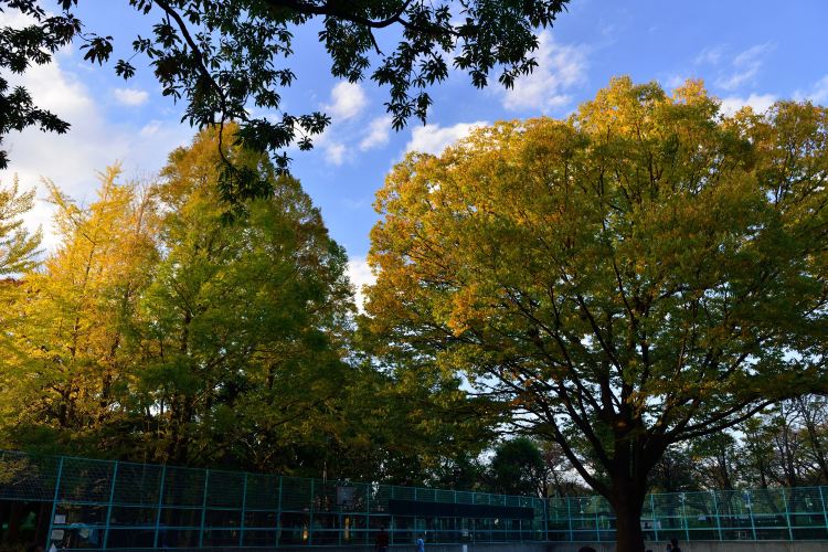 羽根木公園旅遊攻略指南 羽根木公園評論 羽根木公園附近推薦 Trip Com 羽根木公園旅遊攻略指南 羽根木公園評論 羽根木公園附近推薦 Trip Com