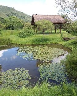 Fata'an Wetlands Ecological Park