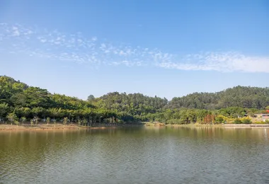 大夫山森林公園 熱門景點照片