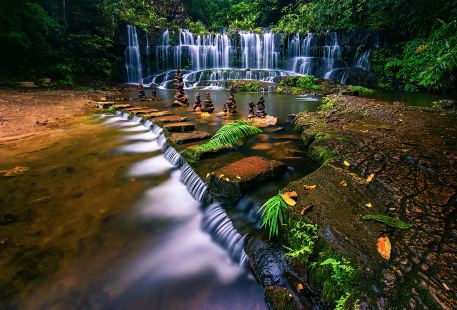 Jiulong Waterfalls Forest Park
