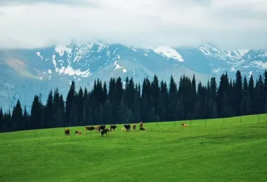 塞克雲端草原 熱門景點照片