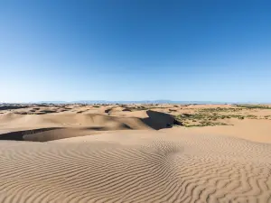 Kubuqi Desert