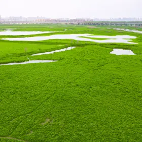 Yunhai Wetland Golf Club