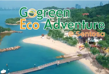 Gogreen Eco Adventure @ Sentosa Popular Attractions Photos
