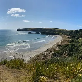 Tawharanui regional park