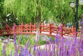 Huaibei Park （North Gate） Popular Attractions Photos