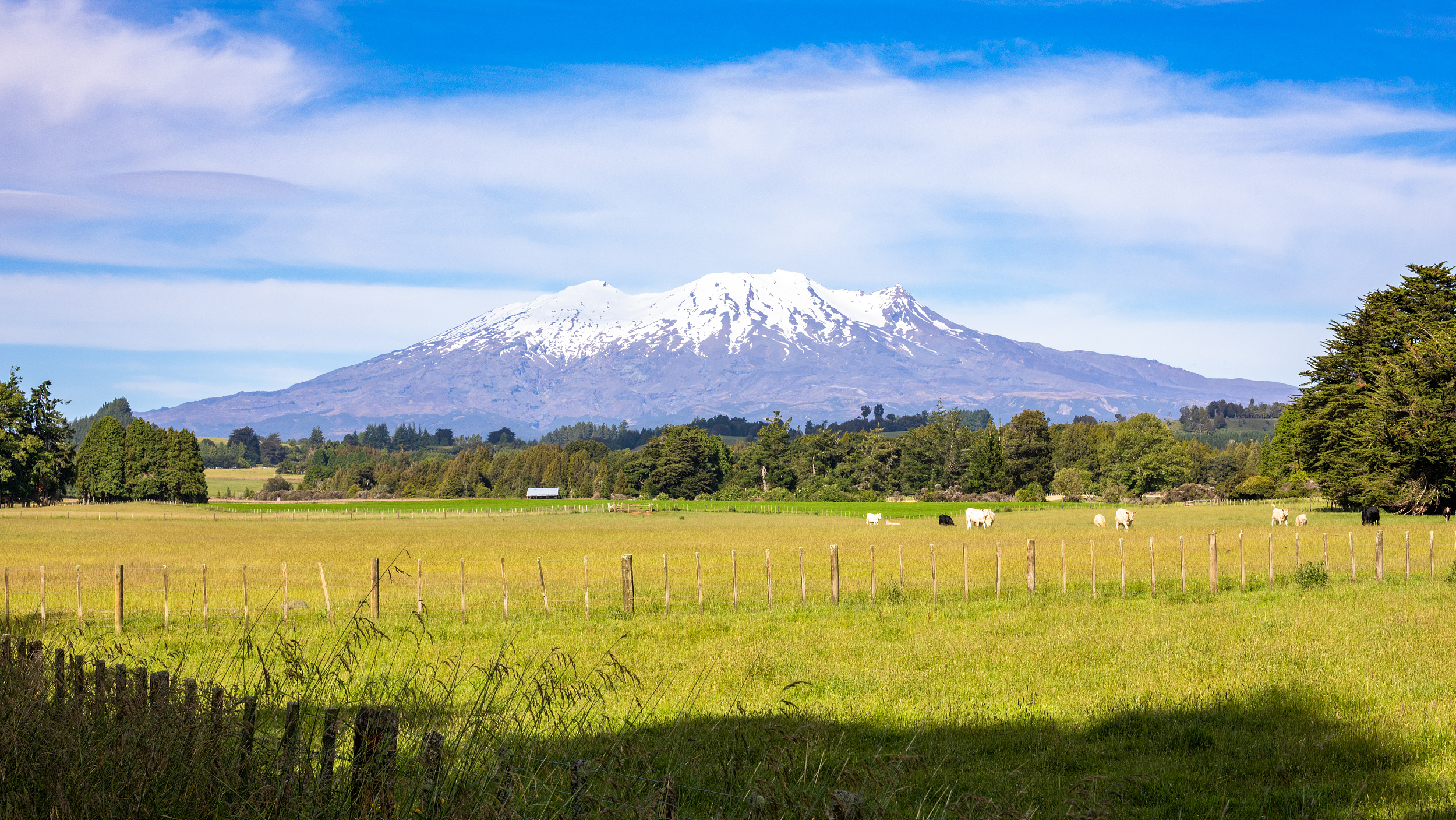 ルアペフ山のレビュー ルアペフ山のチケット ルアペフ山の割引 ルアペフ山の交通機関 所在地 営業時間 ルアペフ山周辺の観光スポット ホテル グルメ Trip Com