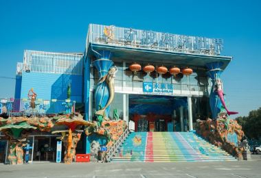Ningbo Ocean World Popular Attractions Photos
