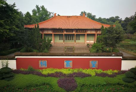 Pi County Wangcong Memorial