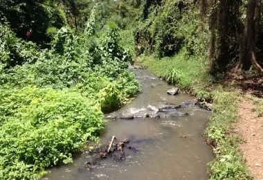 The Oloolua Nature Trail รูปภาพAttractionsยอดนิยม