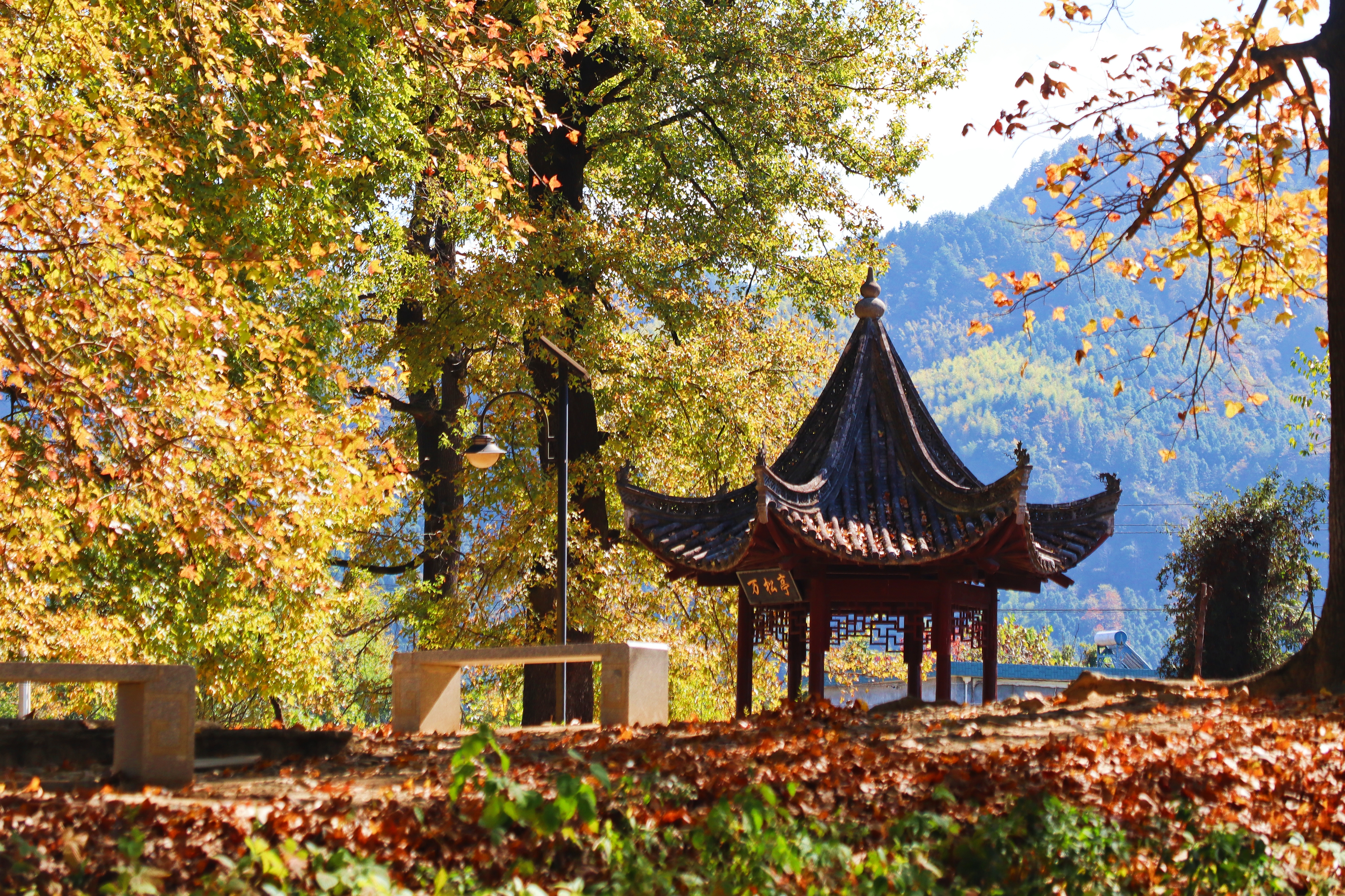 22南屏熱門推薦活動 南屏旅遊攻略 南屏人氣推介景點門票 酒店 好去處 餐飲及餐廳 Trip Com 22南屏熱門推薦活動 南屏旅遊攻略 南屏人氣推介景點門票 酒店 好去處 餐飲及餐廳 Trip Com