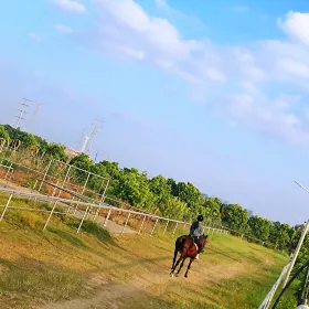 Meijun Racecourse