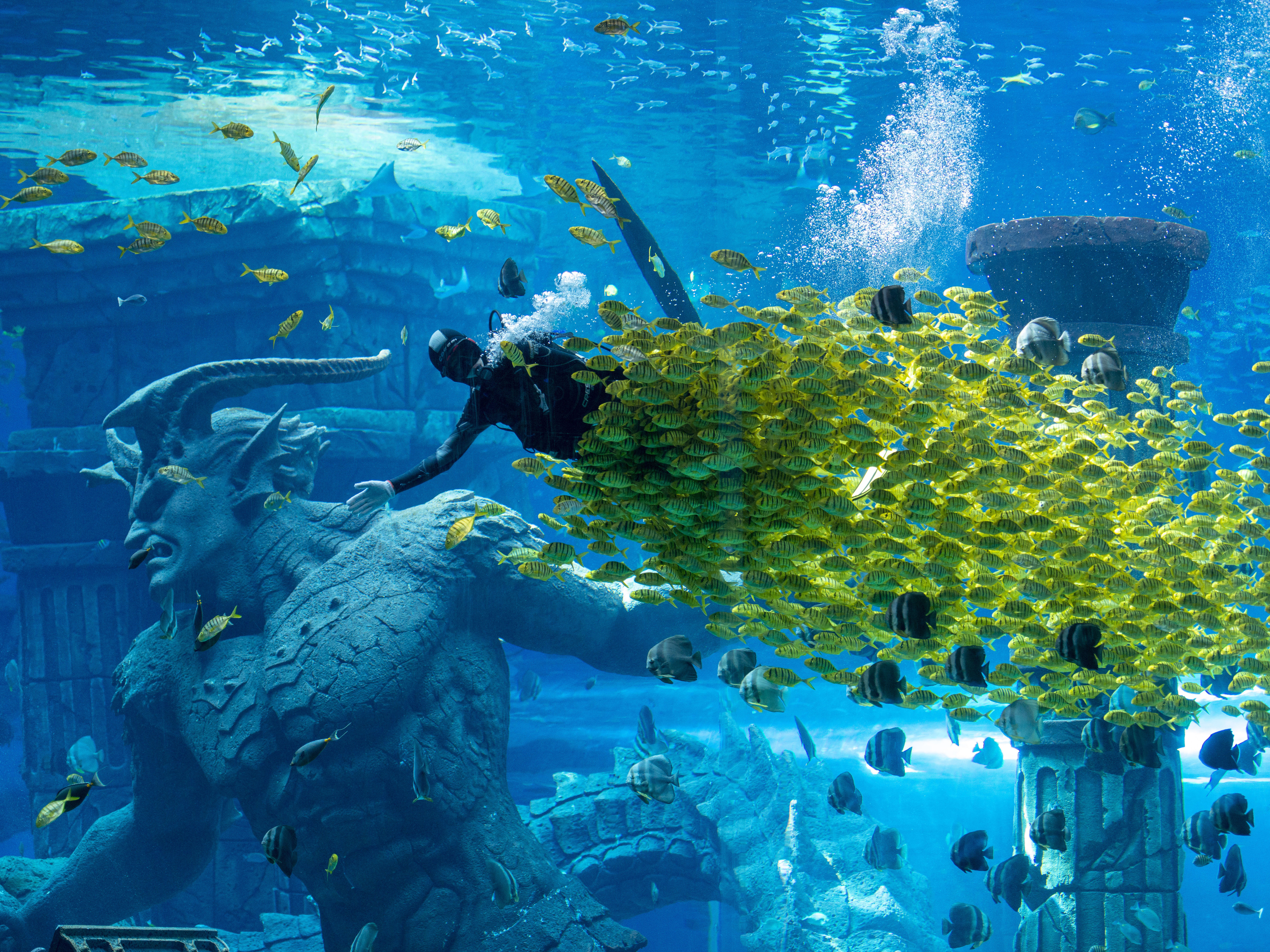 波塞冬海底世界景點評價 波塞冬海底世界門票 波塞冬海底世界優惠 波塞冬海底世界交通 地址 開放時間 波塞冬海底世界附近景點 酒店及美食 Trip Com