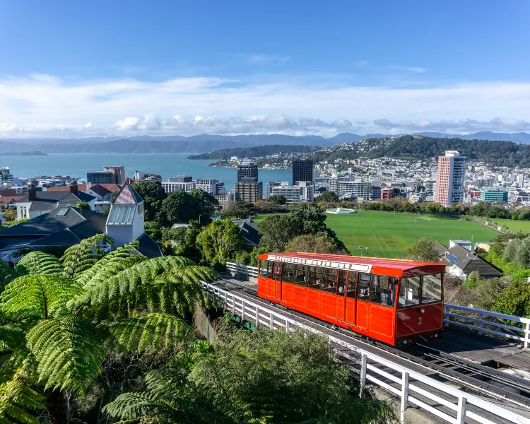 Wellington Popular Travel Guides Photos