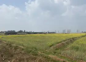 沙堤村