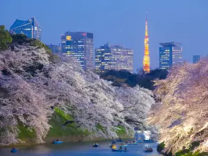 Top 4 Cultural Hotels in Tokyo