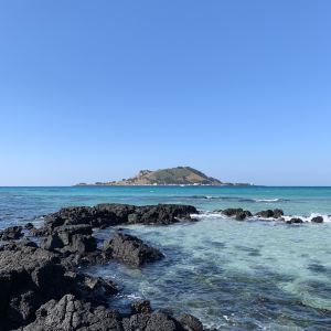 제주도,추천 트립 모먼트