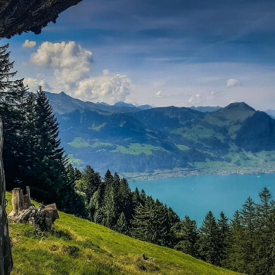 Weggis 2022 Top Things To Do Weggis Travel Guides Top Recommended weggis-2022-top-things-to-do-weggis-travel-guides-top-recommended