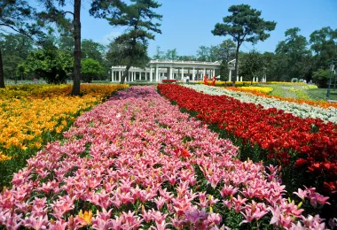 Shenyang Expo Park Popular Attractions Photos