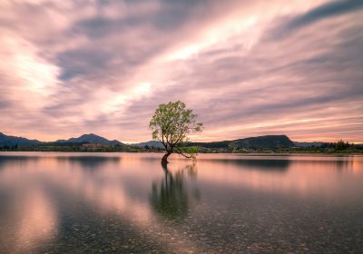 Lake Te Anau