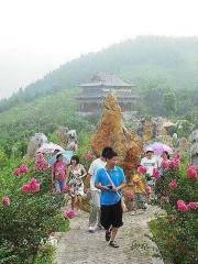奇石好漢林