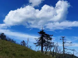 大坪峪風景區