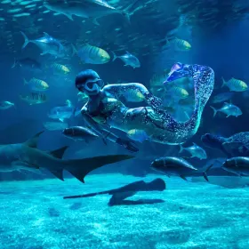 Golden Eagle International Ocean World (Changzhou)