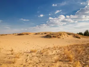 타민차깐사막