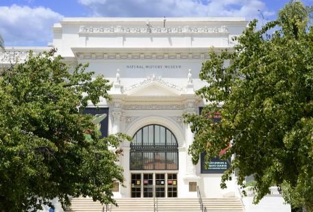 聖地牙哥自然歷史博物館