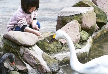 Bifengxia Wildlife Park Popular Attractions Photos