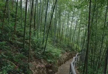 Lechangshi Baishuizhai Ecological Park รูปภาพAttractionsยอดนิยม