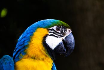 항저우 야생동물원(항주 야생동물세계) 명소 인기 사진