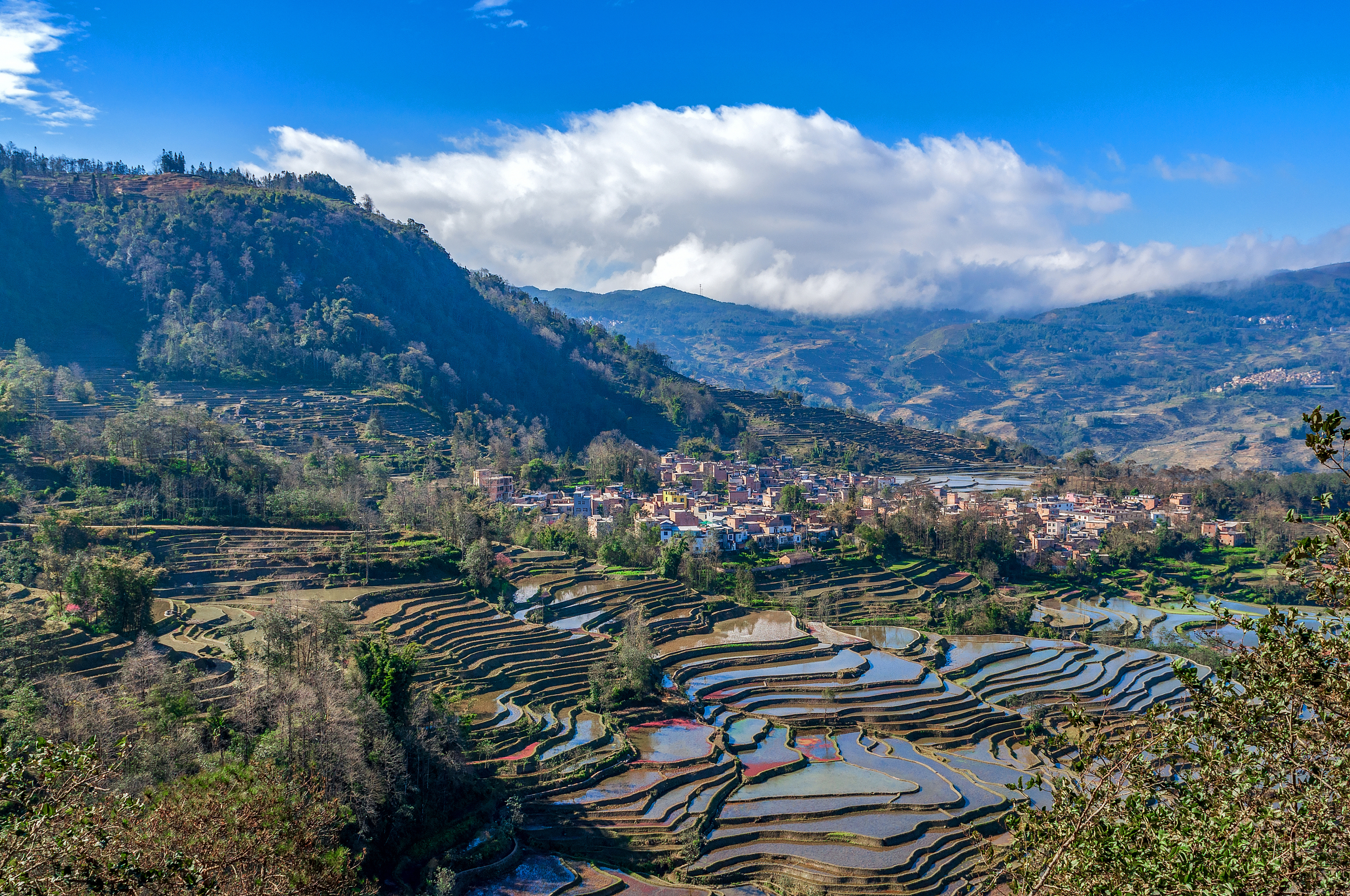Shengcun