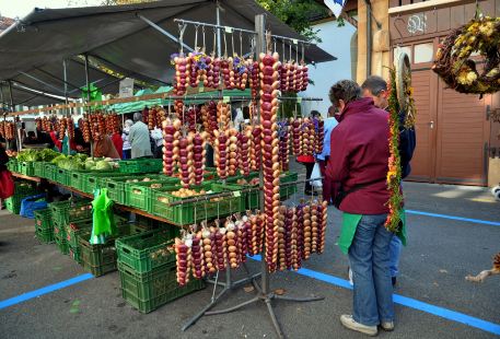 洋蔥市場