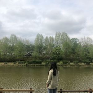 광주,추천 트립 모먼트