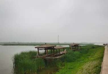 大淩河國家濕地公園 Popular Attractions Photos